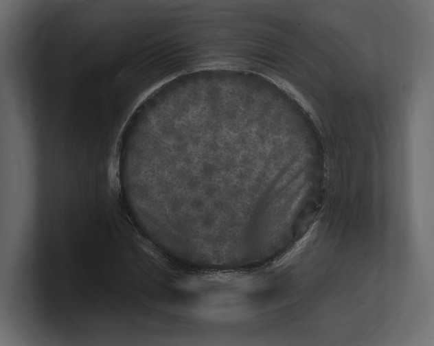 X0000100350830200806271400