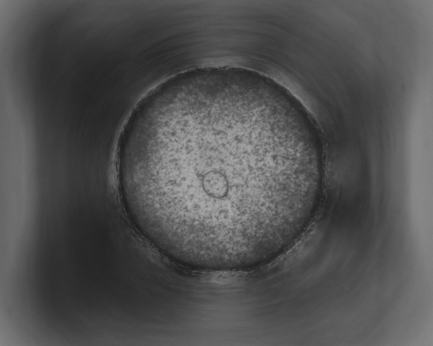 X0000100350832200806271400