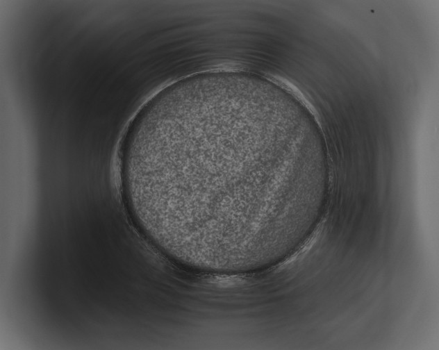 X0000100350835200806271400