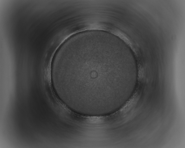 X0000100350836200806271400