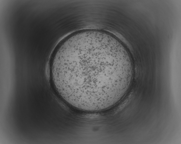 X0000100350838200806271400