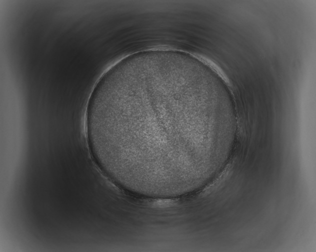 X0000100350839200806271400