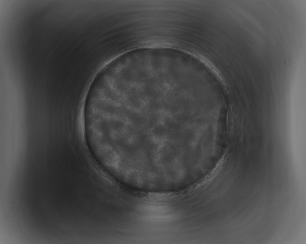 X0000100350840200806271400