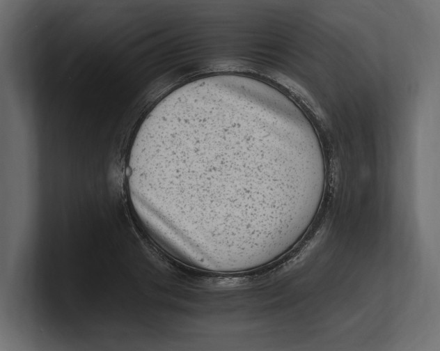 X0000100350841200806271400