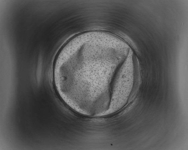 X0000100350844200806271400