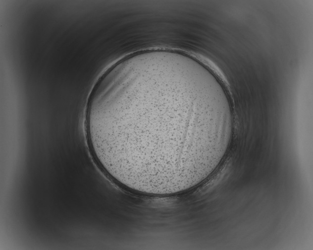 X0000100350847200806271400