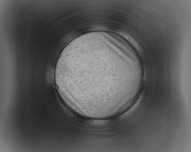 X0000100350849200806271400