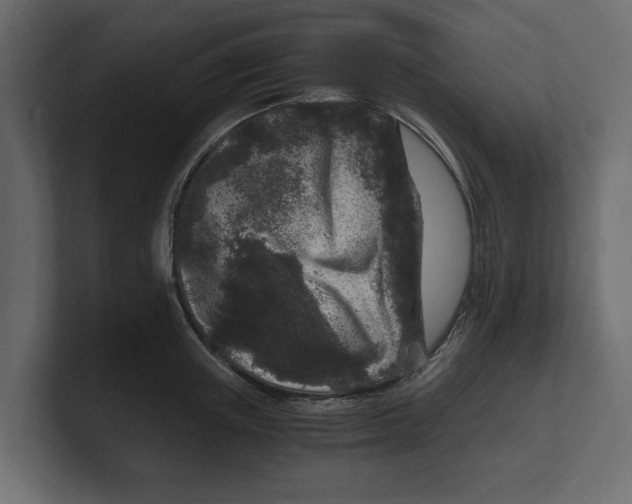 X0000100350851200806271400