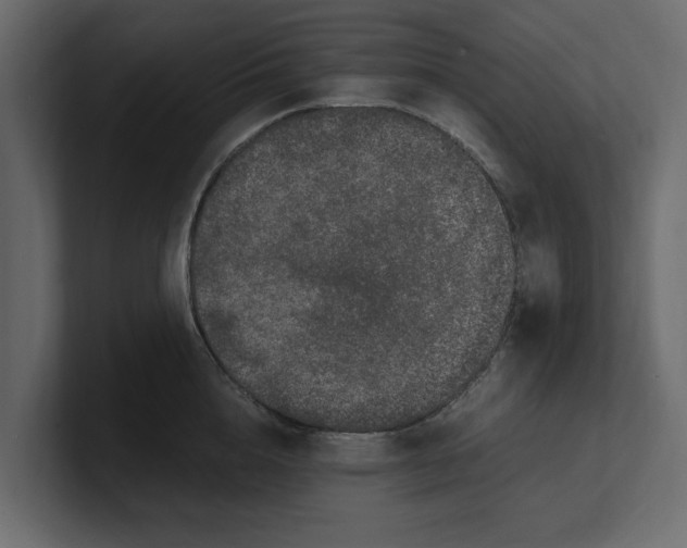 X0000100350856200806271400