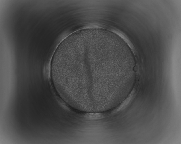 X0000100350858200806271400