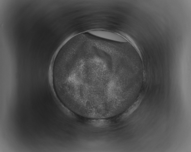 X0000100350859200806271400