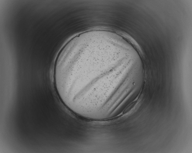 X0000100350860200806271400