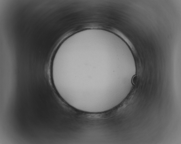 X0000100350861200806271400