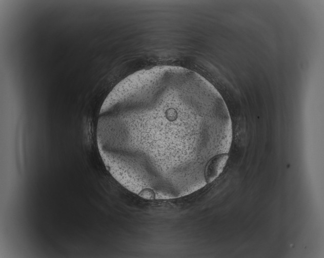 X0000100350866200806271400