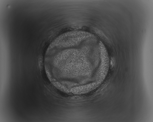 X0000100350867200806271400