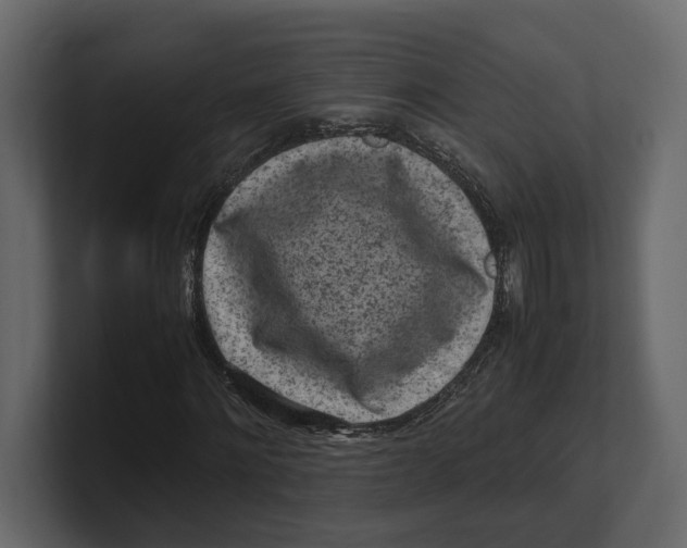 X0000100350868200806271400