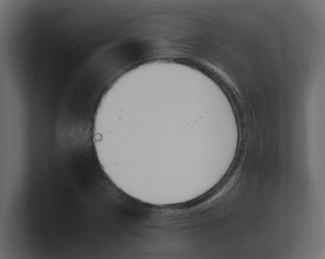 X0000100350873200806271400