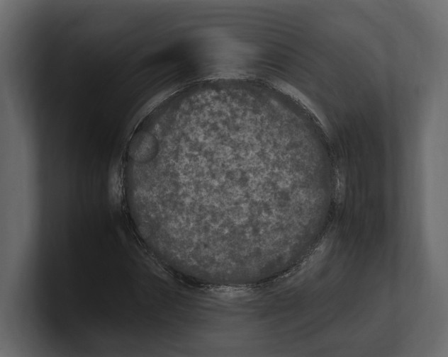 X0000100350874200806271359