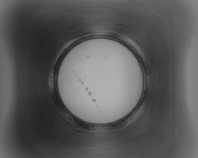 X0000100350875200806271359