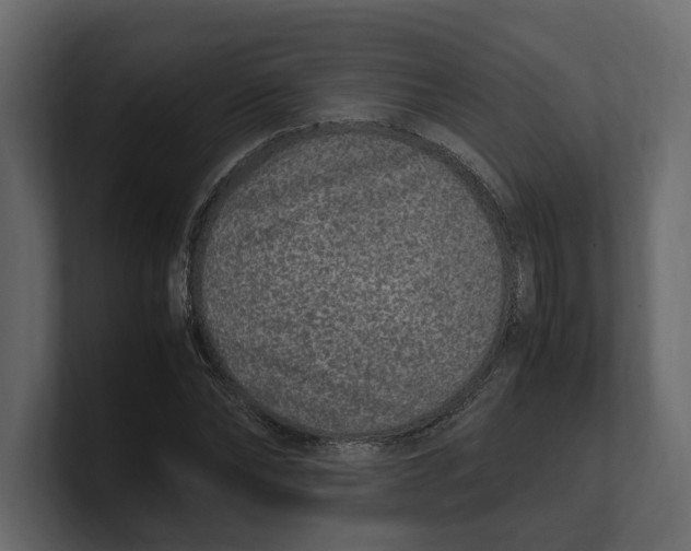 X0000100350878200806271359