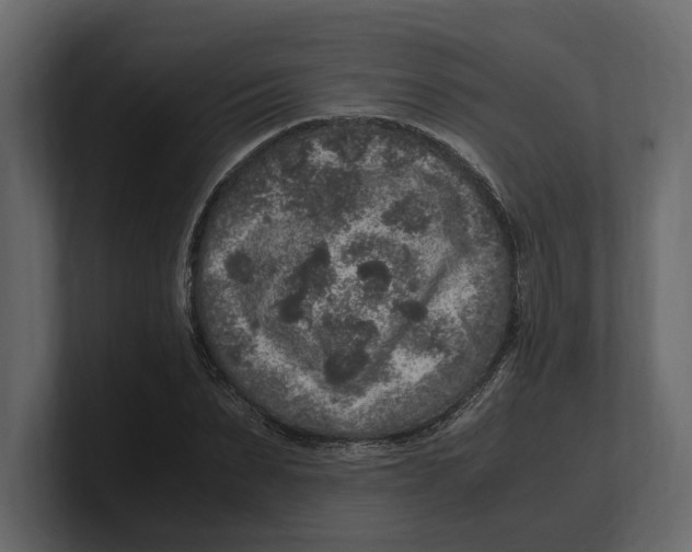 X0000100350879200806271359