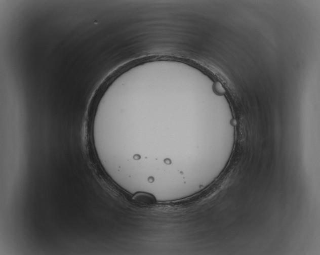 X0000100350880200806271359