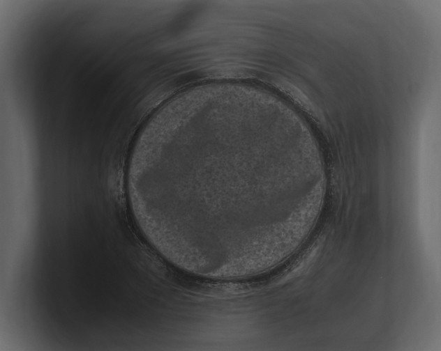 X0000100350881200806271359