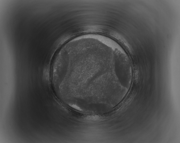 X0000100350882200806271359