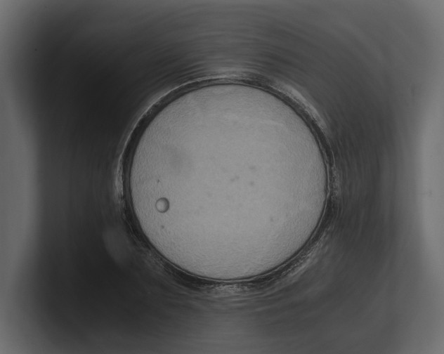 X0000100350883200806271359