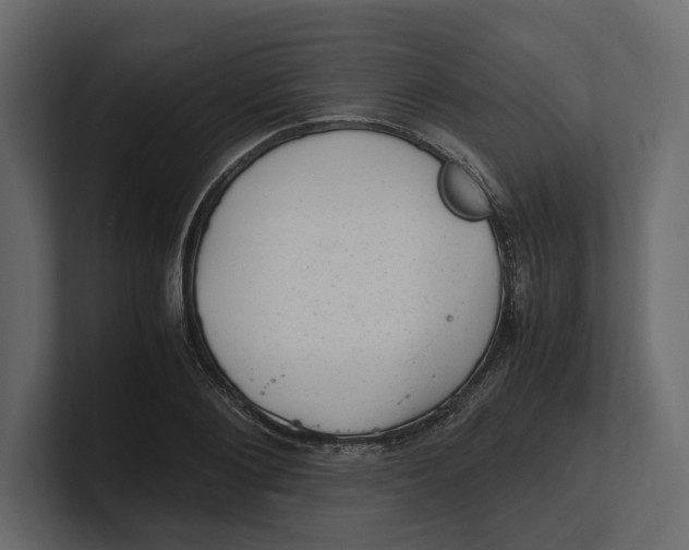 X0000100350884200806271359