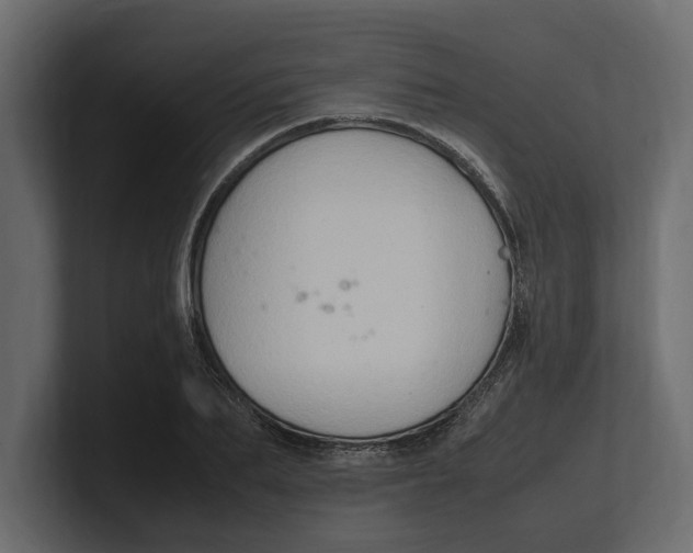 X0000100350887200806271359