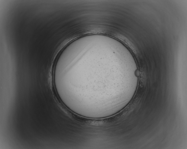 X0000100350890200806271359