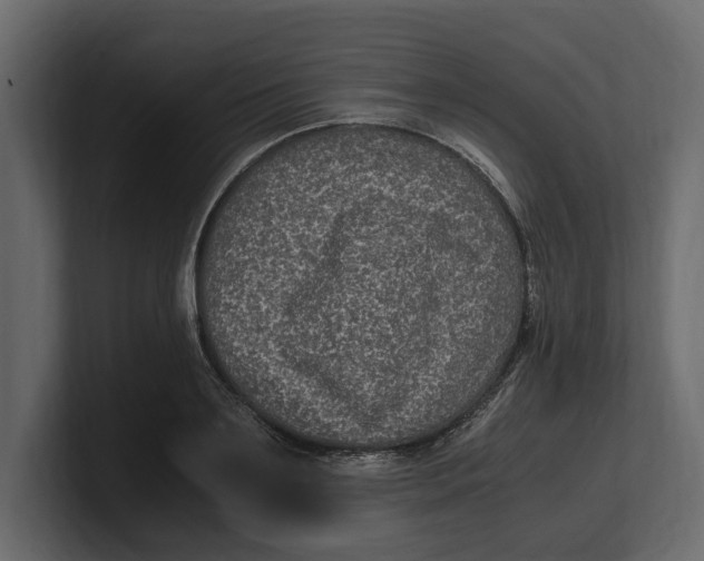 X0000100350891200806271359