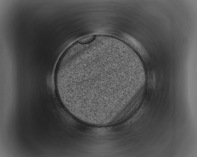 X0000100350892200806271359