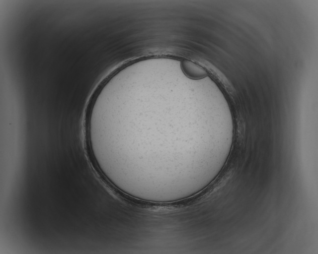 X0000100350894200806271359