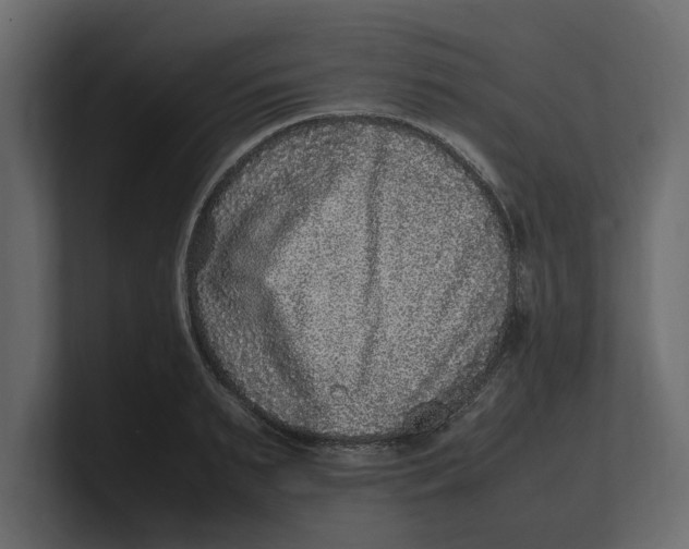 X0000100350895200806271359