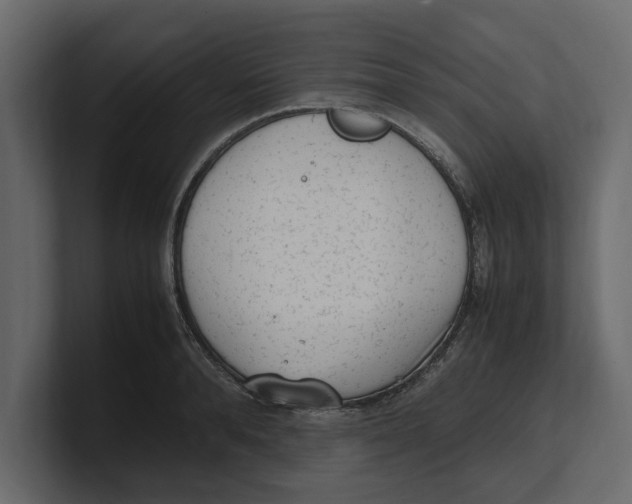 X0000100350896200806271359