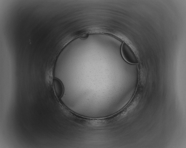 X0000100350897200806271359