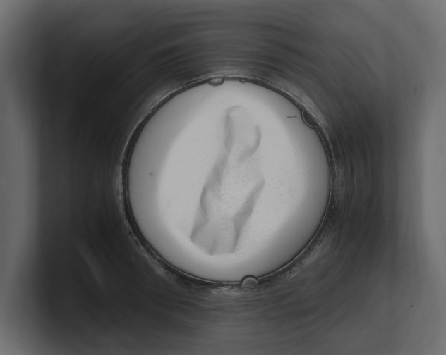 X0000100350898200806271359