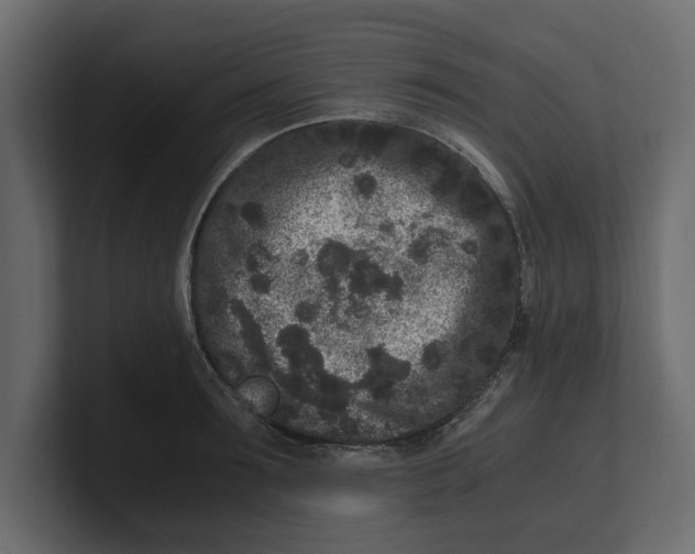 X0000100350899200806271359