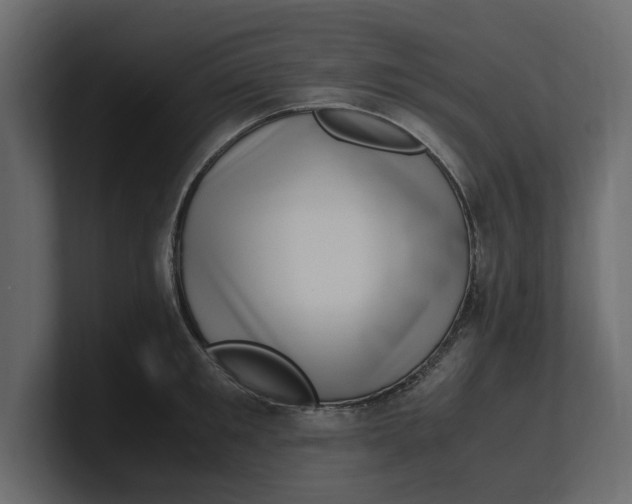 X0000100350901200806271359