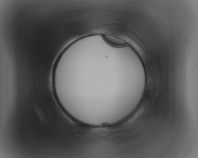 X0000100350902200806271359