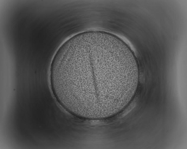 X0000100350903200806271359