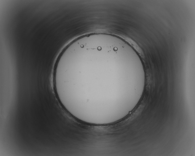 X0000100350904200806271359