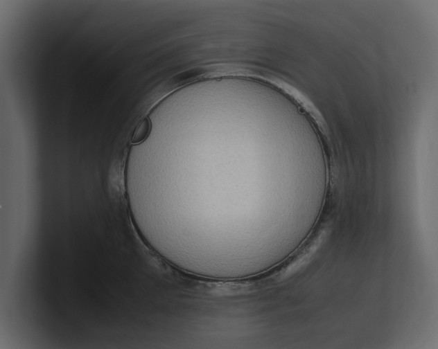 X0000100350905200806271359