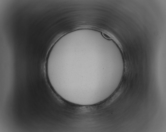 X0000100350906200806271359