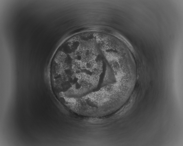 X0000100350907200806271359