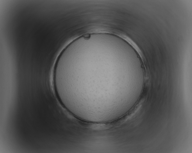 X0000100350909200806271359