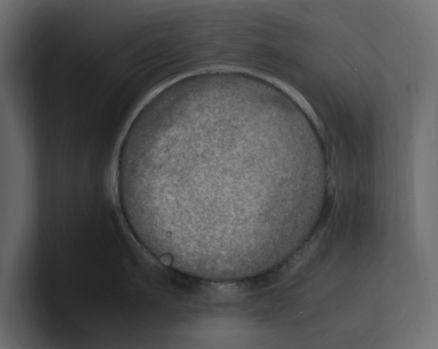 X0000100350911200806271359