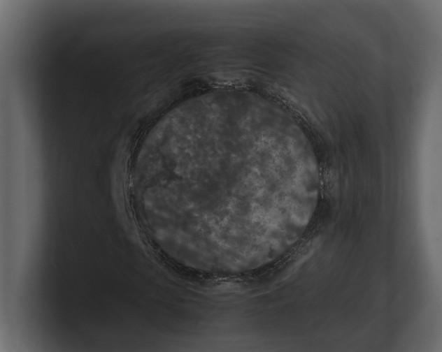 X0000100350913200806271358